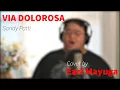 Download Lagu Via Dolorosa (Sandi Patty Cover)
