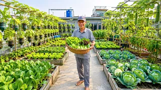 This Is How I Grow a Lush Vegetable Garden Right on a Concrete Yard