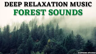 15 minute forest music deep relaxation music 