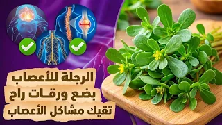 لن تتوقع ما تفعله الرجلة بالأعصاب! فوائد مذهلة للدماغ والتركيز قد لا يعرفها الكثيرون
