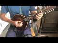 Big Sciota G Mandolin