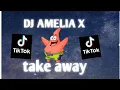 DJ AMELIA FERGUSON X TAKE AWAY (MASHUP) viral tiktok 2021