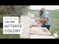 Hutterites Honey Bees Premier Bee Products