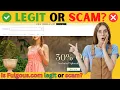 Fulgous com Review - Is Fulgous com Legit or Scam