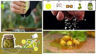 نشيد يلا نقطف الزيتون 