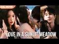 Download Lagu [ENG  SUB] Love in a Sunlit Meadow | Full #cdrama #mustwatch