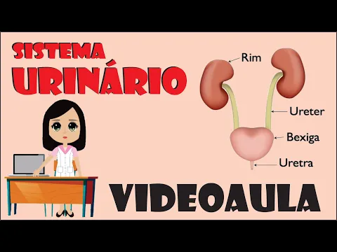 Download MP3 Sistema Urinário