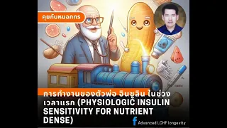 อินซูลินพื้นฐานมีหน้าที่อะไรในร่างกาย