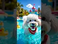 Download Lagu Pippin, le chien blanc bravadeur