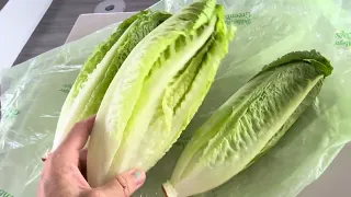 Keep the lettuce 🥬 fresh!