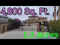 Tropical PARADISE for sale in Riverside Califorenia