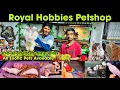 Exotic Pets Small Monkey Turtles Python Tortoise Rabbits Iguana Royal Hobbies Petshop