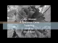 Celtic Woman A Spaceman Came Travelling cover by Alicia Rose