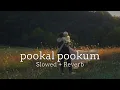 Download Lagu pookal pookum [ slowed + reverb ]