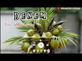 Download Lagu Lagu Gayo Terbaru 2025  _Masisyam_Denem