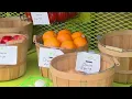 Food deserts and grocery store options in North Baton Rouge