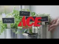 Victory Garden - Ace Hardware