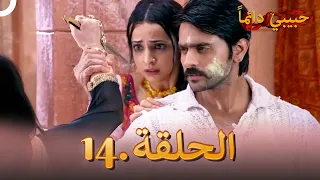 حبيبي دائما الحلقة 14 Rangrasiya 