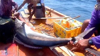 huge swordfish caught fishing from the deep sea red grouper