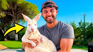 ESTE É O NOVO ANIMAL EXÓTICO DA CASA..