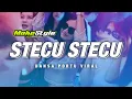 Download Lagu STECU STECU - DANSA PORTU REMIX - ADHY BOIMAU
