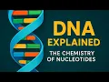 DNA Explained The Chemistry of Nucleotides Nucleic Acids