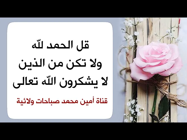 ⁣قل الحمد لله ولا تكن من الذين لا يشكرون الله تعالى