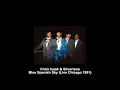 Chris Isaak & Silvertone - Blue Spanish Sky (Live Chicago 1991)