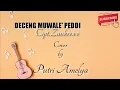 Download Lagu Deceng Muwale' Peddi - Cipt. Zankrewo | Putri Amelya Cover (LirikVideo)