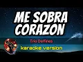 Me Sobra Corazon - Trio Delfines (karaoke version)