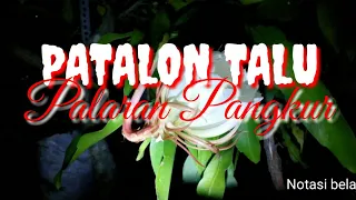 Download Notasi belajar talu (patalon) palaran pangkur wayang kulit MP3