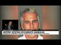 Flight logs from Jeffrey Epstein s private jet included in US judge s release of documents