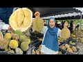Lagu LUBUK DURIAN BATU KURAU BUKA SAMPAI PUKUL 3 PAGI 🔥🔥