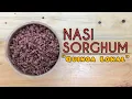 Download Lagu CARA MEMASAK BERAS SORGUM (SORGHUM RICE)