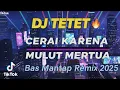 Lagu CERAI KARENA MULUT MERTUA | Breakbeat Dangdut Remix Viral 2025 - DJ TETET