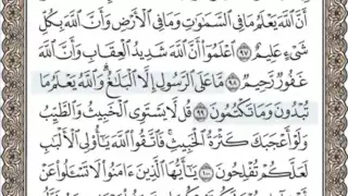 القرآن الكريم بالصفحات سماع وقراءة ص 124 الشيخ محمد صديق المنشاوي 