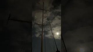 Moonlit .. #sailing #boatlife #travel #petsofyoutube