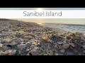 Sanibel Island Beach Walk Red Tide Winds and Seashells