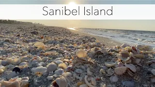 Sanibel Island Beach Walk Red Tide Winds and Seashells