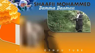 Shaafii Mohammad Old Best Oromo Y 