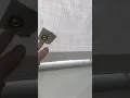 Harbor Freight Portable Car Canopy mods and hacks