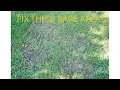 How to Fill in Thin and Bare Areas in Your Lawn St Augustine grass Florida