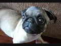 Diga não às Drogas! Meg!