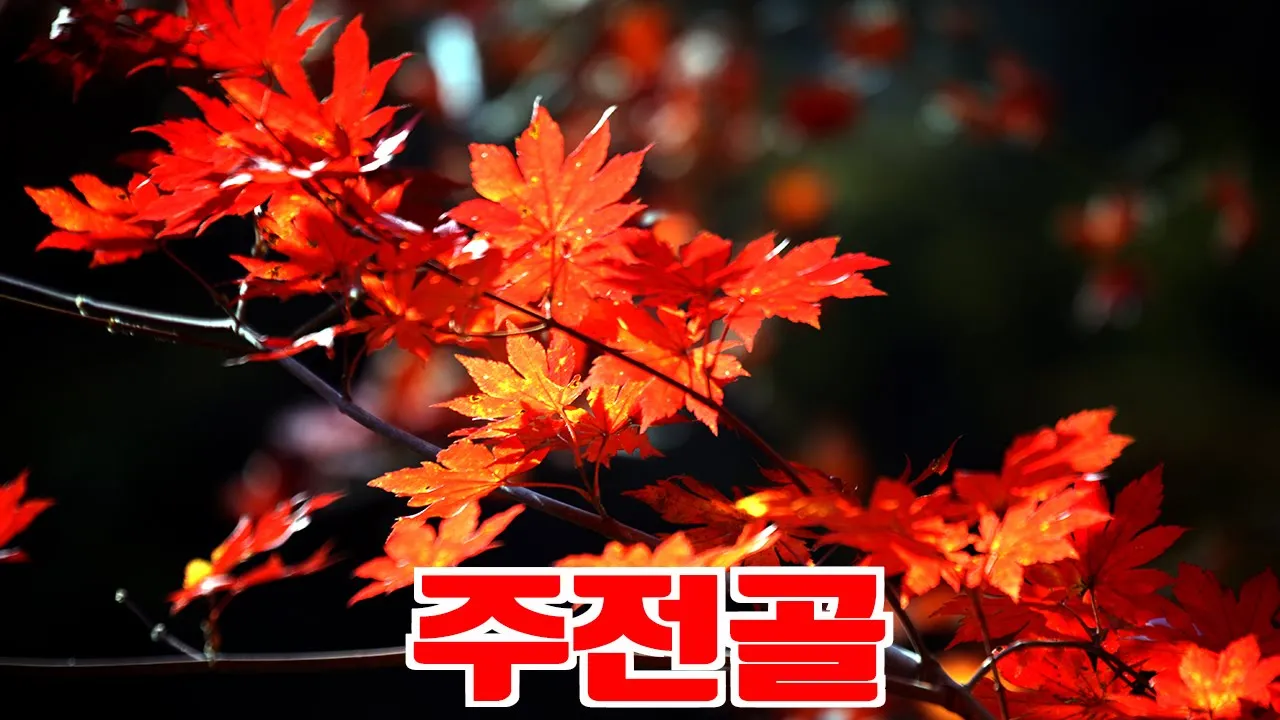 설악산 주전골, 흘림골 サムネイル
