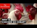 Why is chicken so cheap The Economist