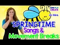 Spring Action Songs for Preschool and Kindergarten Brain Break Mix 24 mins