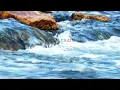 Relaxing piano music: Water~Brian Crain