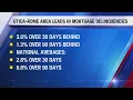 Utica-Rome Area Leads in Delinquencies