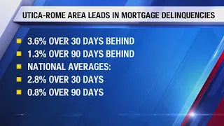 Utica-Rome Area Leads in Delinquencies