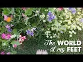 Lagu The World at My Feet | A Thousand Words